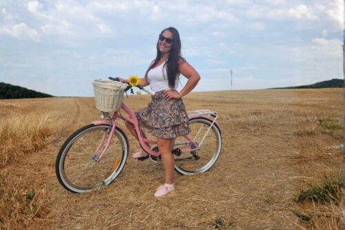 davibikes (5)