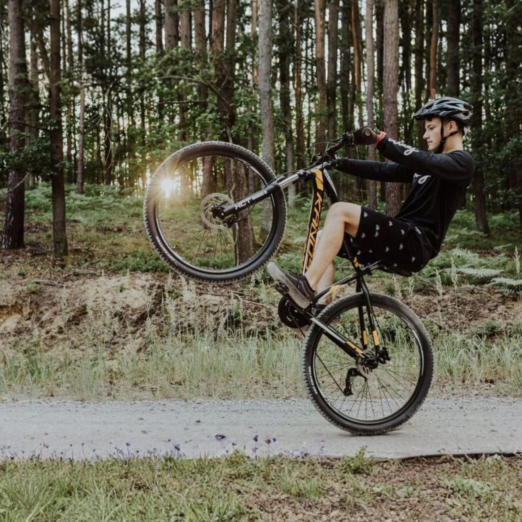 davibikes (800x800
