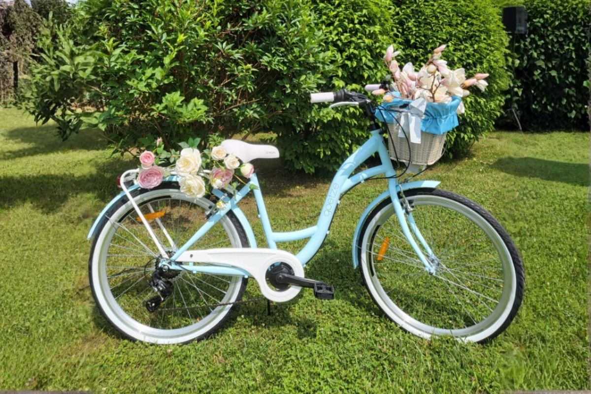 davibikes (9)